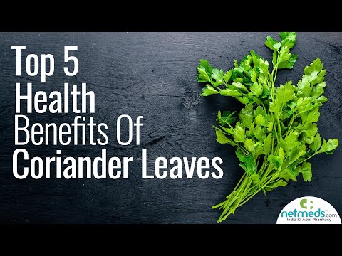 Top 5 Health Benefits Of Coriander Leaves