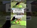Растяжка при боли в пояснице #поясница #больвспине #спина #растяжка #тренировка #гильдиястройных