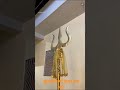 नवरात्री के इस पावन पर्व की हार्दिक शुभकामनाएं।।