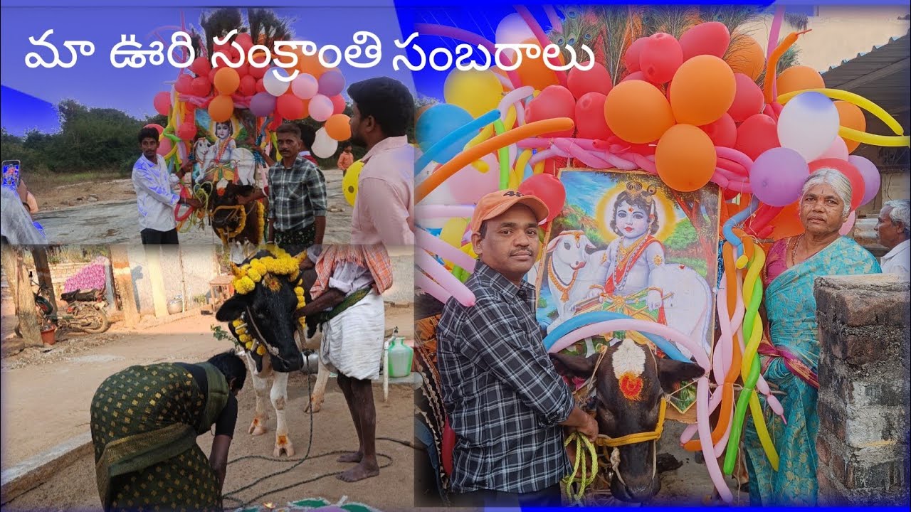 My village sankranthi celebration 🎉🎉