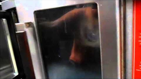 Vulcan Double Stack Convection Oven