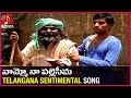 Telangana Emotional songs | Vamoo Na Palle Seema Sentimental Song | Amulya Audios And videos