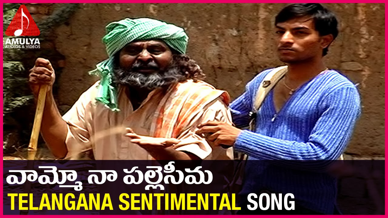 Telangana Emotional songs  Vamoo Na Palle Seema Sentimental Song  Amulya Audios And videos
