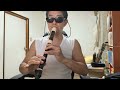 想い出のうた 堀江美都子 キャンディキャンディ アニソン アルトリコーダー alto recorder