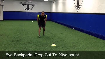 5yd Backpedal Drop Cut To 20ud Sprint