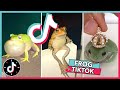 Welcome to frog tiktok   tiktok compilation 2020