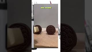 Oreo vs lighter #fancylighter #lighter #smokinglighter