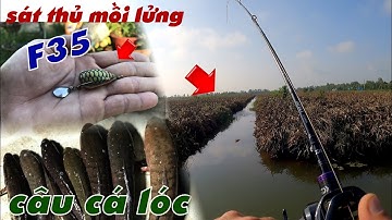 Câu Lure Cá Lóc ✅ Cách Câu Cá Lóc Đầu Mùa Nắng Bằng Nhái Hơi F35 | Tâm Râu Vlog #289