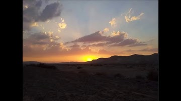 سورة ص والزمر 4 II الشيخ أبوبكر مومني صلاة القيام ليلة 20 رمضان 1440 هـ