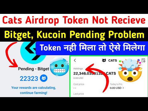 Cats Airdrop Bitget
