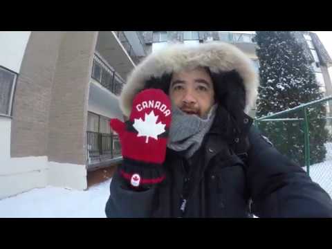 Vídeo: Cores Vivas Dão Um Toque Especial à Residência Victoria Em Montreal