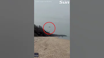 Plane Makes Emergency Crash Lading On Long Island Beach Shorts 
