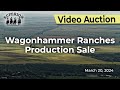 Wagonhammer ranches production sale