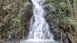 30 Detik Suara Aliran Air Sungai di dalam Hutan yang Menenangkan Pikiran Jiwa dan Raga