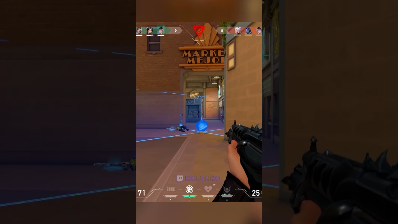 Radiant Sage Crushes the Final Hope 🥶