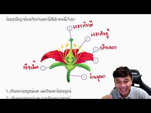 ติวข้อสอบวิทยาศาสตร์ สอบเข้า ม.1 ฟรี 01