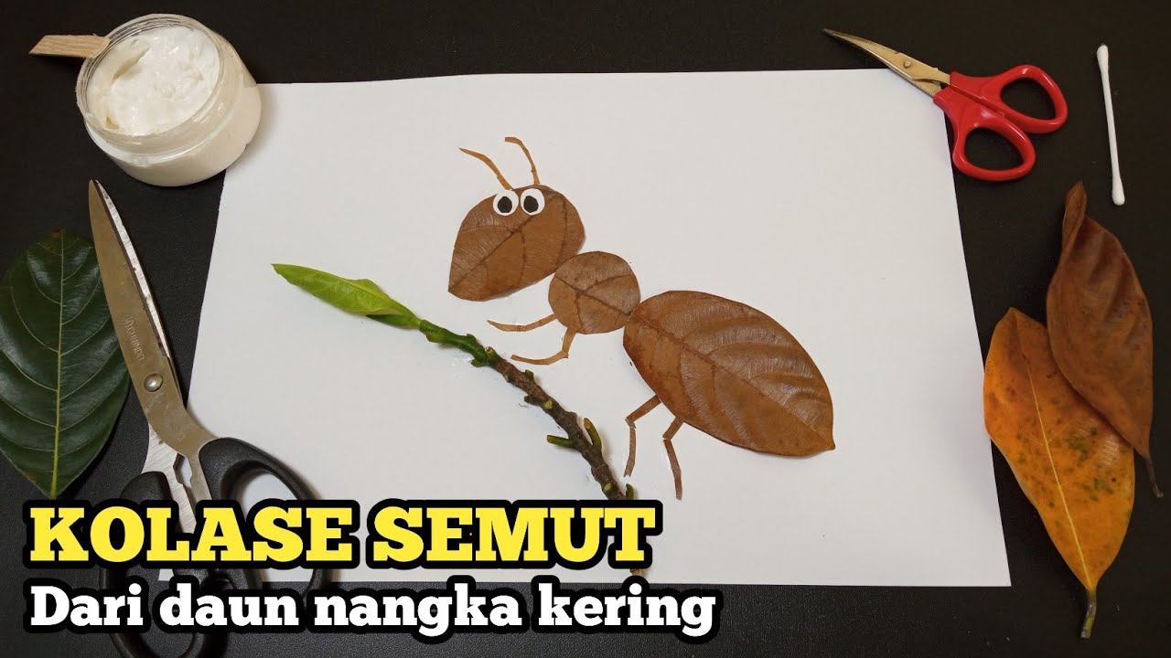 KOLASE DARI DAUN | Cara Membuat Kolase Semut Dari Daun Nangka Kering