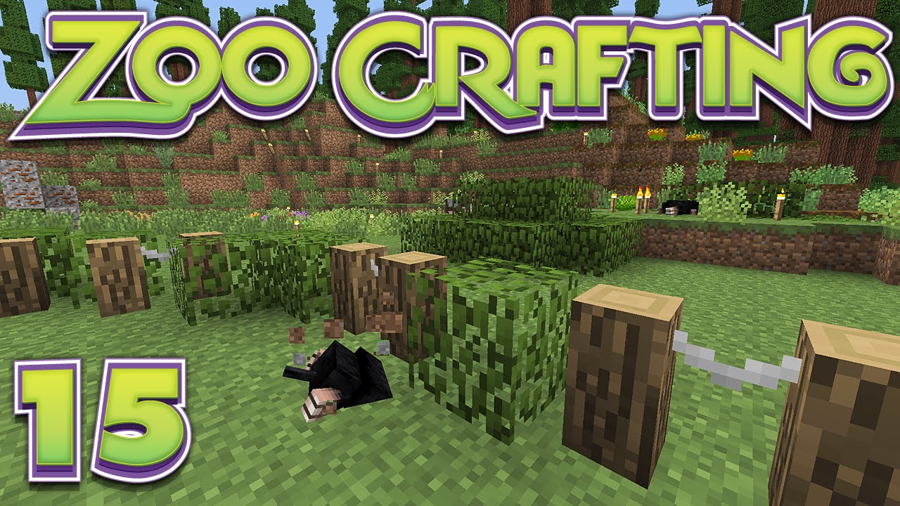 Zoo Crafting 15 Fencing Off Land YouTube