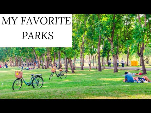Vídeo: Top Parks in the City of Tampa