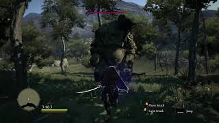 Dragon’s Dogma - Dark Arisen: Mystic knight vs Drag at Devilfire grove