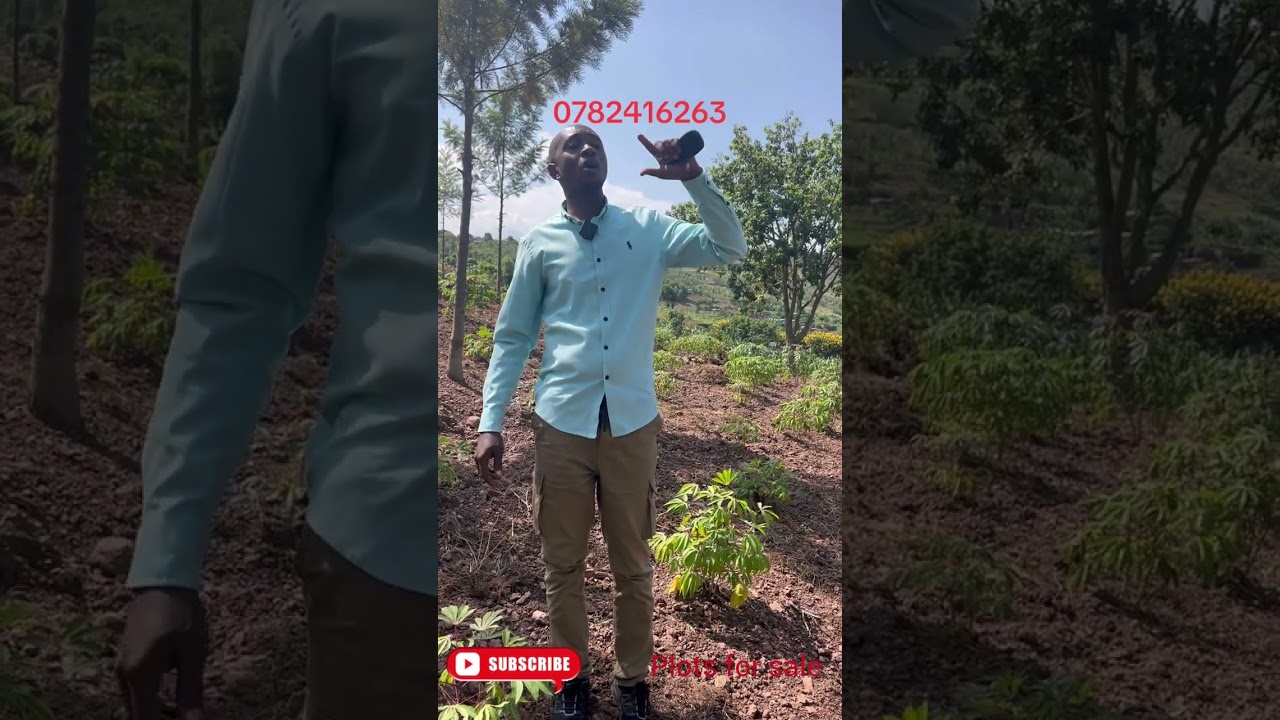 Iyisambu  nimari  wifuza kuyisura waduhamagara  tukayikugezaho 0782416263 call me 