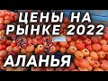 Цены на рынке в феврале Аланья Махмутлар | Субботний рынок | Базар по субботам в Махмутларе