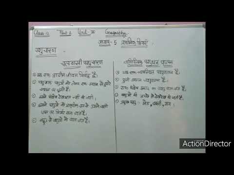 #class12geography #lessonplan5प्राथमिकक्रियाएं