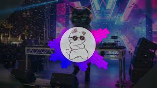 Lagu Dj Squat Remix  Meong Dj