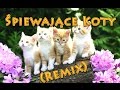 Singing cats & Twenty One Pilots - Heathens (Ozyrys remix)