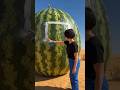 Giant Watermelon House Build 🍉 Full Fantasy Construction Timelapse (Satisfying) #usa