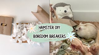 Simple Hamster DIY Boredom Breakers! 🐹