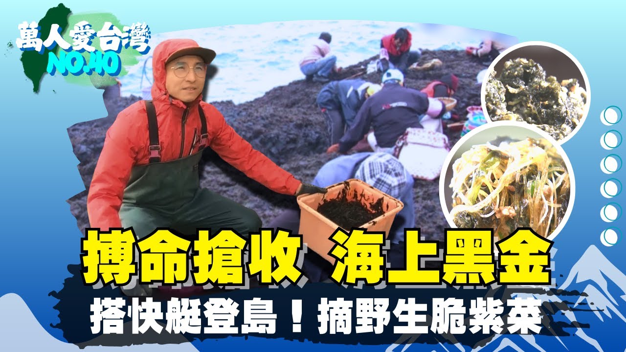 《萬人愛台灣》【澎湖最另類年終  海上黑金搏命收 / 家家必備大冰箱   阿嬤私房小管滷肉飯  /  龍蝦泡麵小意思   赤崁紫菜大豐收 】 台灣第一等