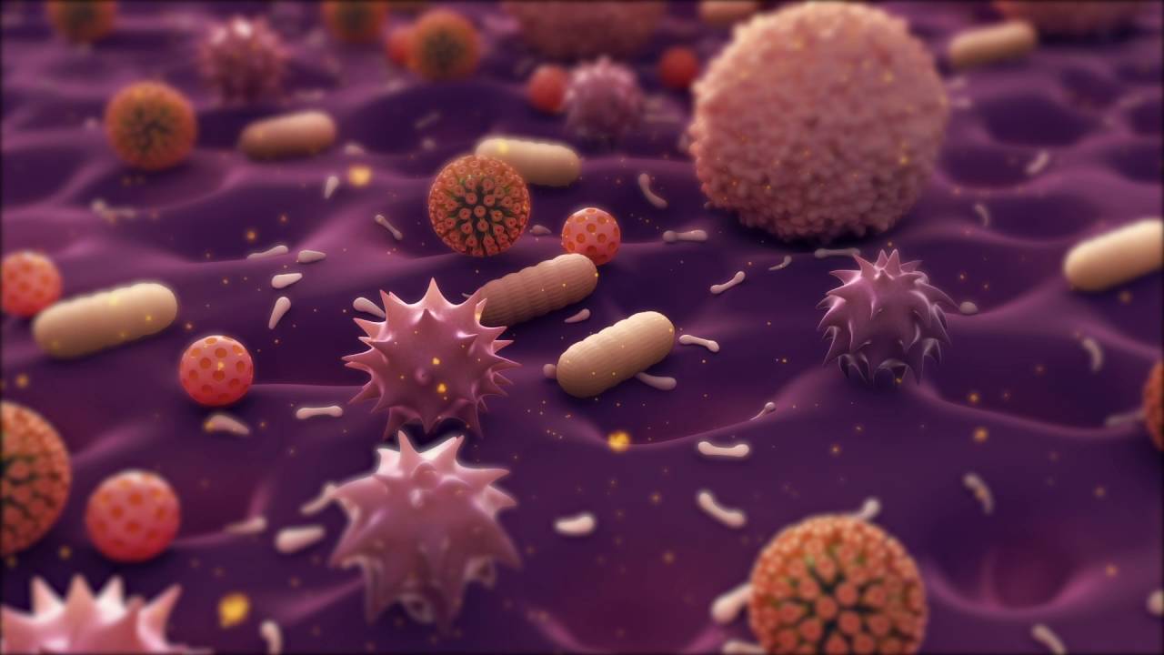 Bacteria Animation - YouTube