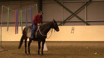 Trail Riding Essentials Part 1 - Tony Lander - international Horsemans Institute