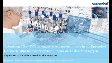 Optimization of a CD4+ T Cell Long-term Expansion Process in Stirred-Tank Bioreactors