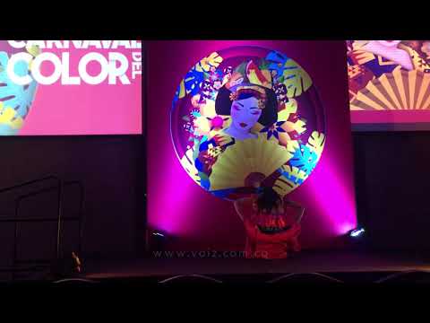 BAILE JAPONES Y CARNAVAL DE BARRANQUILLA