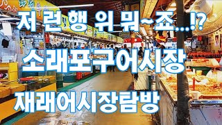 탐방했어요-소래포구재래어시장