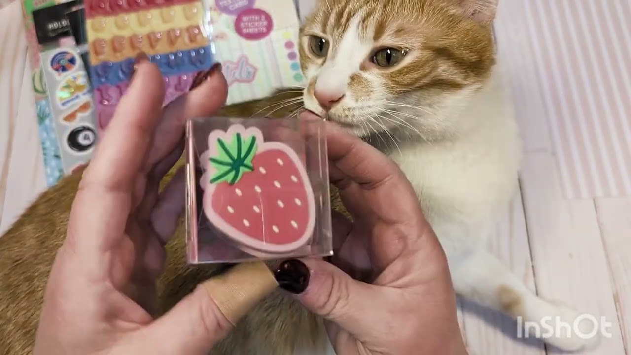 Five below & Office supply haul 😜 #haul #officesupply #papercrafting #scrapbooking 