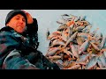 РЫБАЛКА - ЗАМЕСЯТЕЛЬНАЯ!!! ГДЕ РЫБАЧИЛ НЕ СКАЖУ:-)! Братское, лёд 2020-2021.