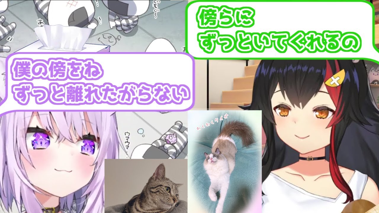 【ホロライブ切り抜き】飼い主が体調崩してる時に、必ずそばにいてくれる猫たちの話【大神ミオ/猫又おかゆ】