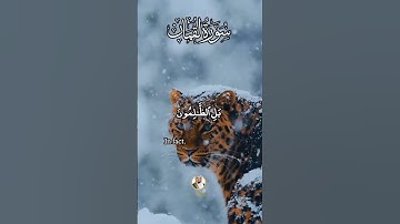 القارئ عبد الولي الاركاني #abdulwali_alarkani #عبدالولي_الاركاني #alquran #foryou  #abdulwali