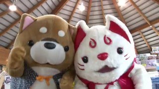 YouTube公式チャンネル 更新中! https://www.youtube.com/user/hayatop...