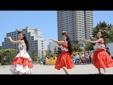 No Luna E Ka Halekai No Kama'alewa　Halau Hula O Keanuenue a Ma'Ema'e　LOCO MOCO SUNSET FEEL THE MANA