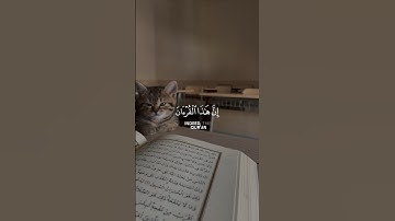 اية من سورة الإسراء || المنشد والقارئ بشار سراج