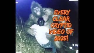 Every CLEAR Cryptid Video Released in 2025!