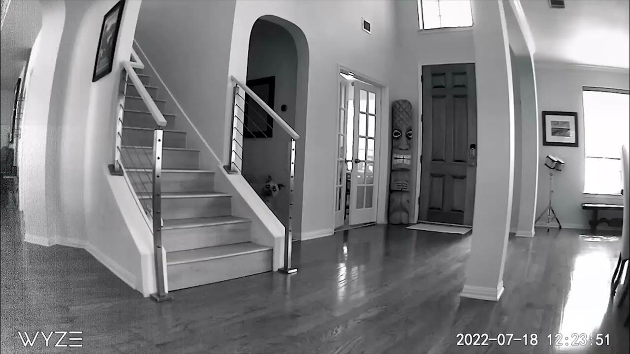 Roomba falling down stairs YouTube