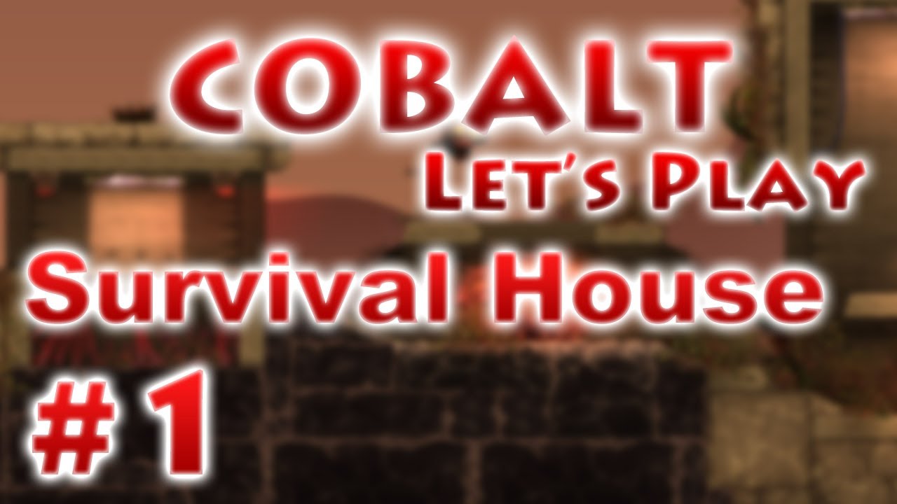 Cobalt - Survival House - "Опасные ниндзя!" - Часть 1
