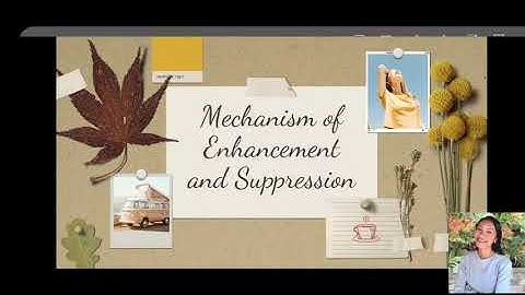 Reading Model (Structure Building Framework)