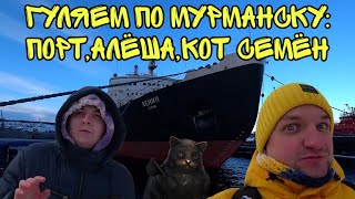 Гуляем по Мурманску: порт,Алёша,кот Семён 😃