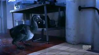 Attack of the Dodos! - Primeval - BBC America